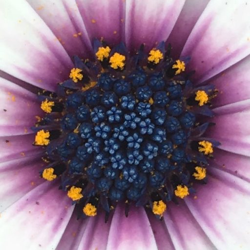 spiritual psychotherapist near me